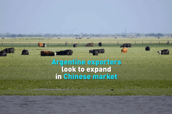 Argentina_Eyes_China_as_Top_Trade_Partner__Exporters_Target_Market_Expansion video poster