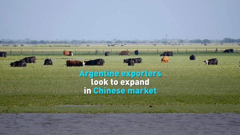 Argentina_Eyes_China_as_Top_Trade_Partner__Exporters_Target_Market_Expansion video poster