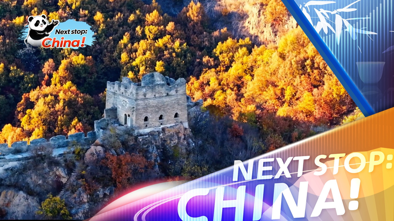 Autumn_Majesty__Aerial_Views_of_Great_Wall_s_Banchaoyu_Section video poster
