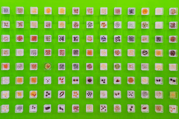 Beijing_Emerges_as_Global_Leader_in_Crop_Germplasm_Preservation