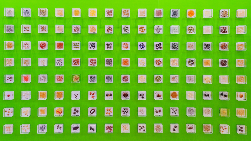 Beijing_Emerges_as_Global_Leader_in_Crop_Germplasm_Preservation - Khabar Asia Beijing_Emerges_as_Global_Leader_in_Crop_Germplasm_Preservation