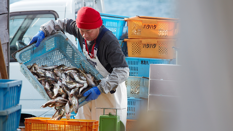 China_Japan_Tensions_Threaten_Livelihoods_of_Okinawa_Fishermen_poster - Khabar Asia China_Japan_Tensions_Threaten_Livelihoods_of_Okinawa_Fishermen video poster