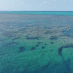 China_Releases_2025_Huangyan_Dao_Marine_Ecology_Report