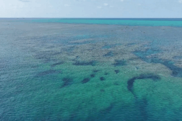 China_Releases_2025_Huangyan_Dao_Marine_Ecology_Report