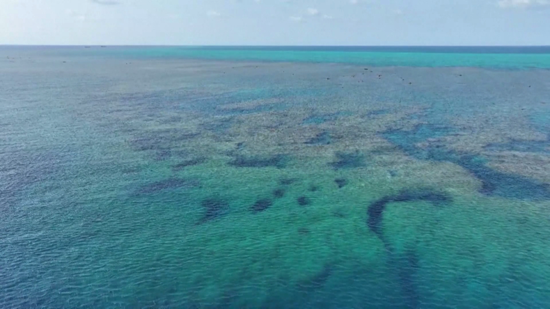 China_Releases_2025_Huangyan_Dao_Marine_Ecology_Report