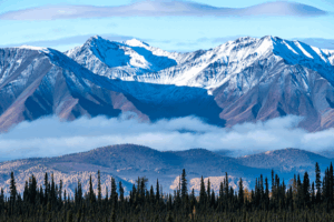 China_Resumes_Group_Tours_to_Canada__Boosting_Cultural_Ties