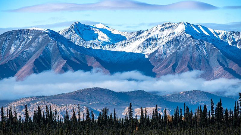 China_Resumes_Group_Tours_to_Canada__Boosting_Cultural_Ties