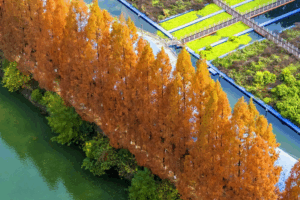 China_Strengthens_Environmental_Oversight_with_New_2026_Monitoring_Regulation