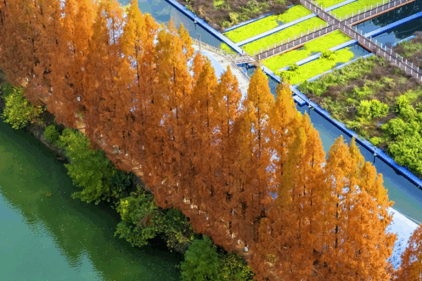 China_Strengthens_Environmental_Oversight_with_New_2026_Monitoring_Regulation