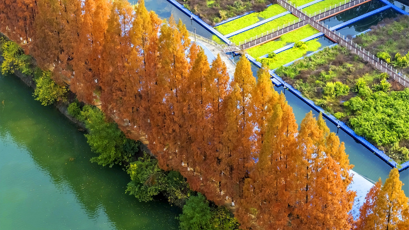 China_Strengthens_Environmental_Oversight_with_New_2026_Monitoring_Regulation