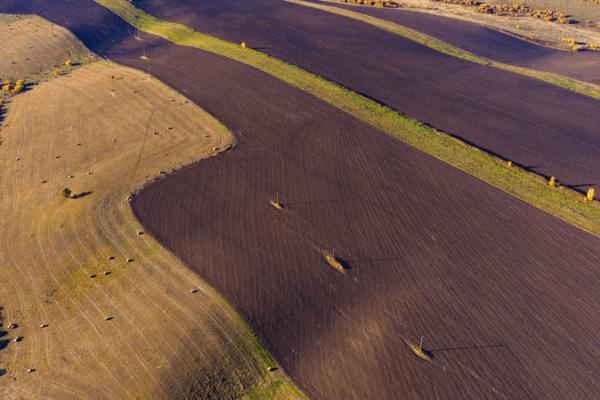 China_s_Black_Soil_Revival_Boosts_Food_Security_Amid_Climate_Challenges