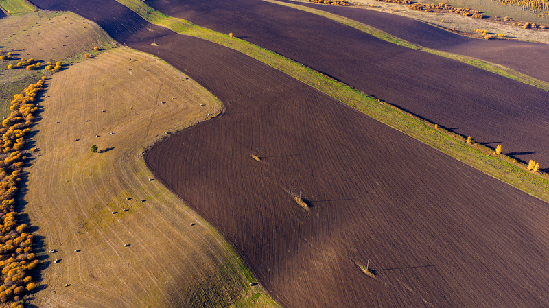 China_s_Black_Soil_Revival_Boosts_Food_Security_Amid_Climate_Challenges - Khabar Asia China_s_Black_Soil_Revival_Boosts_Food_Security_Amid_Climate_Challenges