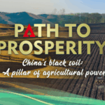 China_s_Black_Soil_Revival__Securing_Food_Security_Through_Innovation_poster - Khabar Asia China_s_Black_Soil_Revival__Securing_Food_Security_Through_Innovation video poster