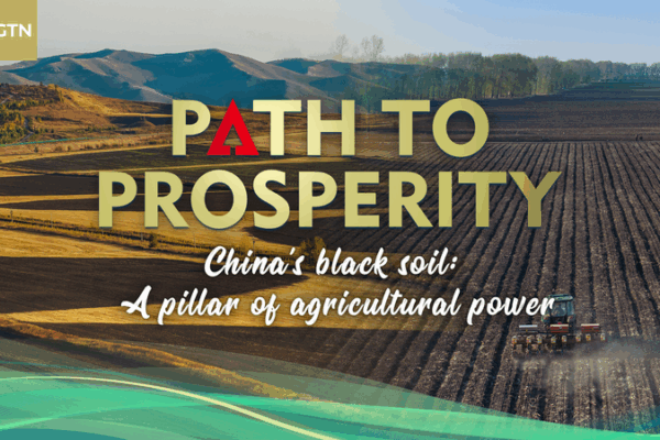 China_s_Black_Soil_Revival__Securing_Food_Security_Through_Innovation video poster