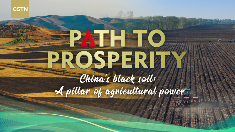 China_s_Black_Soil_Revival__Securing_Food_Security_Through_Innovation video poster