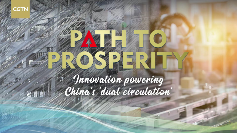 China_s_Carbon_Fiber_Boom_Fuels_Dual_Circulation_Strategy video poster