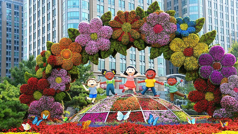 China_s_Diplomatic_Vision__6_Key_Pillars_Shaping_Global_Ties_in_2025