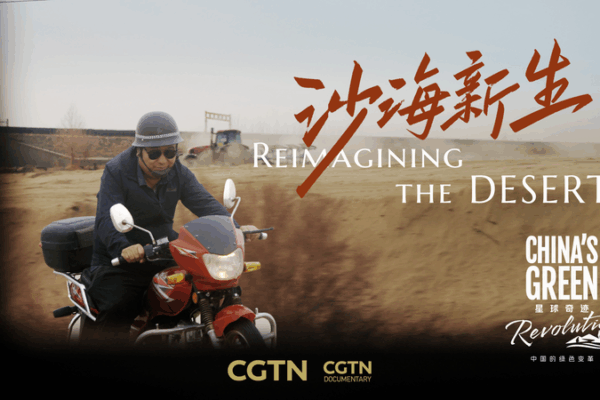 China_s_Great_Green_Wall__How_Desert_Defenders_Tamed_the_Taklimakan video poster