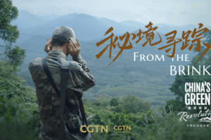 China_s_Green_Guardians__Giving_Nature_a_Voice_in_2025