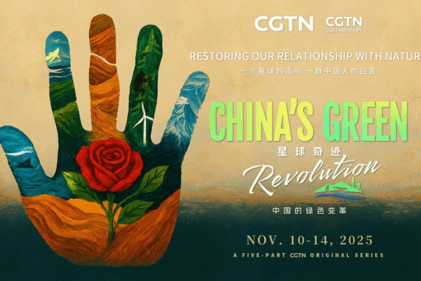 China_s_Green_Revolution__20_Years_of_Eco_Transformation_Unveiled video poster