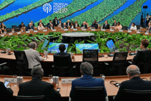 China_s_Green_Transformation__Decoding_the_Logic_of_Ecological_Civilization