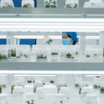 China_s_Seed_Industry_Blossoms__Powering_Agricultural_Innovation_in_2025 - Khabar Asia China_s_Seed_Industry_Blossoms__Powering_Agricultural_Innovation_in_2025