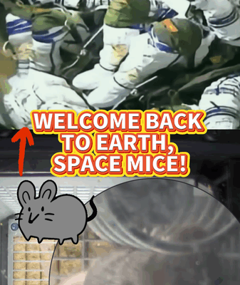 China_s_Shenzhou_20_Space_Mice_Return_Safely_to_Earth video poster