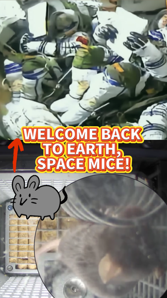 China_s_Shenzhou_20_Space_Mice_Return_Safely_to_Earth_poster - Khabar Asia China_s_Shenzhou_20_Space_Mice_Return_Safely_to_Earth video poster