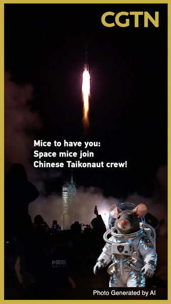 China_s_Space_Station_Welcomes_Rodent_Astronauts_for_Groundbreaking_Experiments_poster - Khabar Asia China_s_Space_Station_Welcomes_Rodent_Astronauts_for_Groundbreaking_Experiments video poster