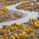 China_s_Taklimakan_Desert_Transforms_into_Green_Oasis_poster - Khabar Asia China_s_Taklimakan_Desert_Transforms_into_Green_Oasis video poster