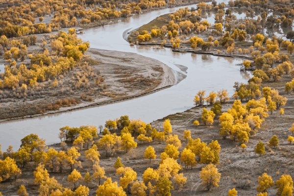 China_s_Taklimakan_Desert_Transforms_into_Green_Oasis video poster