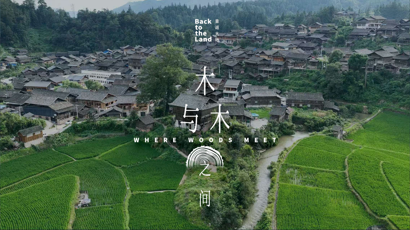 China_s_Timeless_Timber_Framing__Where_Tradition_Meets_Craftsmanship video poster