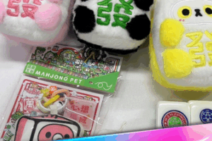 China_s_Youth_Embrace_Wealth_Symbols_Through_Art_Toy_Trends video poster