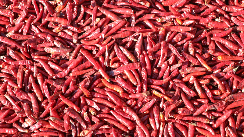 Chinese_Scientists_Unveil_Artificial_Tongue_to_Measure_Spiciness