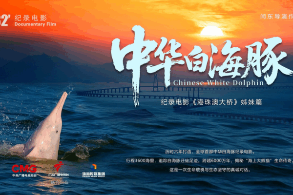 Chinese_White_Dolphin_Documentary_Premieres_Dec__12__Ties_to_National_Games