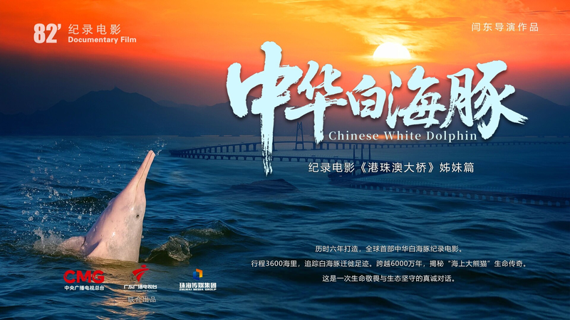 Chinese_White_Dolphin_Documentary_Premieres_Dec__12__Ties_to_National_Games - Khabar Asia Chinese_White_Dolphin_Documentary_Premieres_Dec__12__Ties_to_National_Games