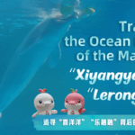 Chinese_White_Dolphins_Inspire_Unity__Conservation_in_Greater_Bay_Area_Mascots video poster