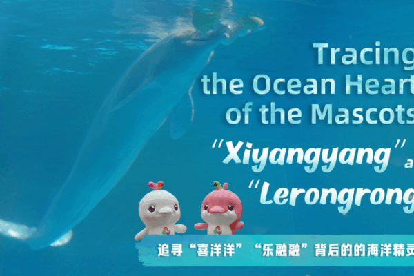 Chinese_White_Dolphins_Inspire_Unity__Conservation_in_Greater_Bay_Area_Mascots video poster