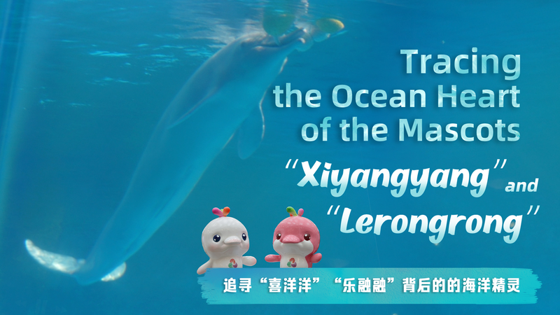 Chinese_White_Dolphins_Inspire_Unity__Conservation_in_Greater_Bay_Area_Mascots_poster - Khabar Asia Chinese_White_Dolphins_Inspire_Unity__Conservation_in_Greater_Bay_Area_Mascots video poster