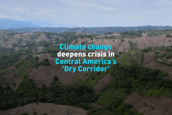 Climate_Crisis_Intensifies_in_Central_America_s_Dry_Corridor video poster