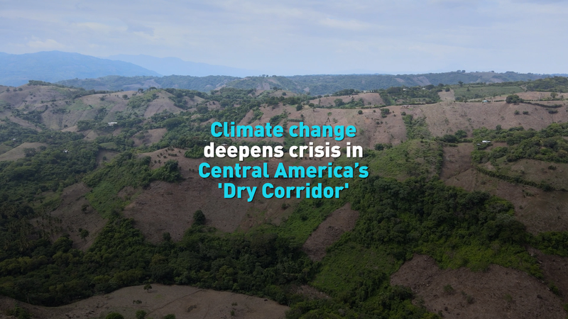 Climate_Crisis_Intensifies_in_Central_America_s_Dry_Corridor video poster