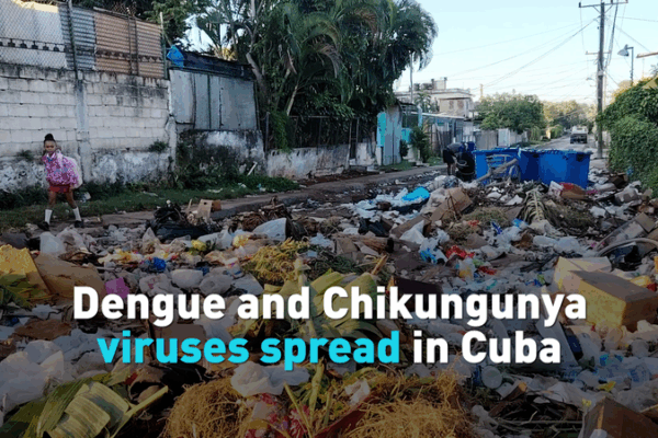 Cuba_Battles_Surge_in_Mosquito_Borne_Diseases_Amid_2025_Outbreaks video poster