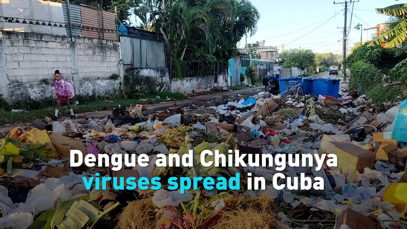 Cuba_Battles_Surge_in_Mosquito_Borne_Diseases_Amid_2025_Outbreaks video poster