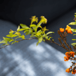 Discovering_China_s_Subtle_Art_of_Noticing_in_Everyday_Life