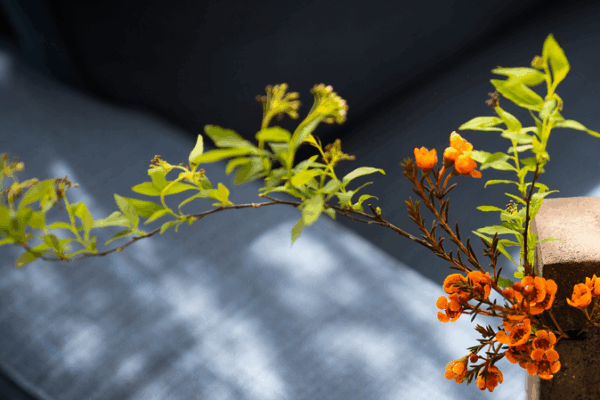 Discovering_China_s_Subtle_Art_of_Noticing_in_Everyday_Life