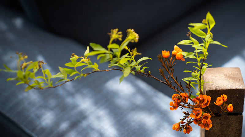 Discovering_China_s_Subtle_Art_of_Noticing_in_Everyday_Life