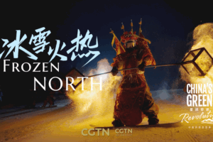 From_Frost_to_Fortune__Northeast_China_s_Winter_Revival_in_2025 video poster