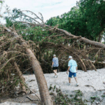 G20_Leaders_Forge_Consensus_on_Global_Challenges_in_2025_Declaration