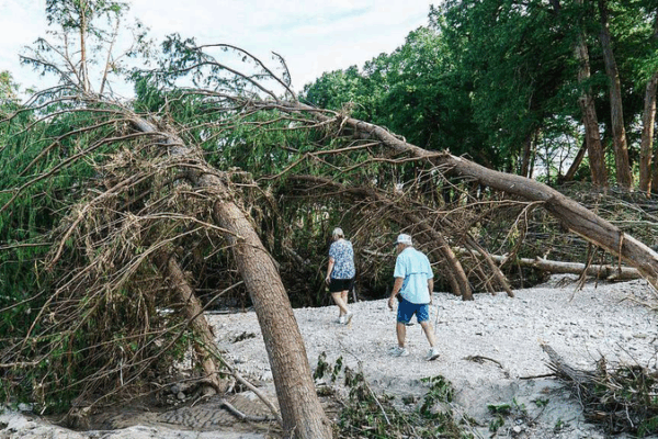 G20_Leaders_Forge_Consensus_on_Global_Challenges_in_2025_Declaration