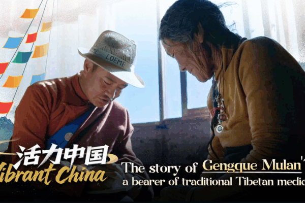 Gengque_Mulan__Preserving_Tibetan_Medicine_in_Modern_China video poster